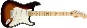Fender Stratocaster Player