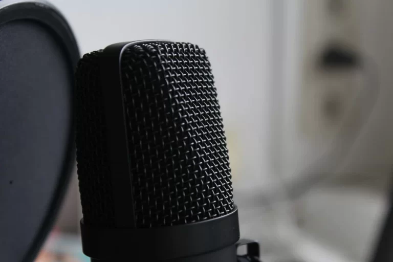 Scopri di più sull'articolo Microfono Economico Neewer NW-700