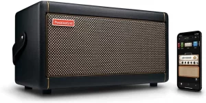 Amplificatore Positive Grid Spark