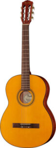Fender ESC105