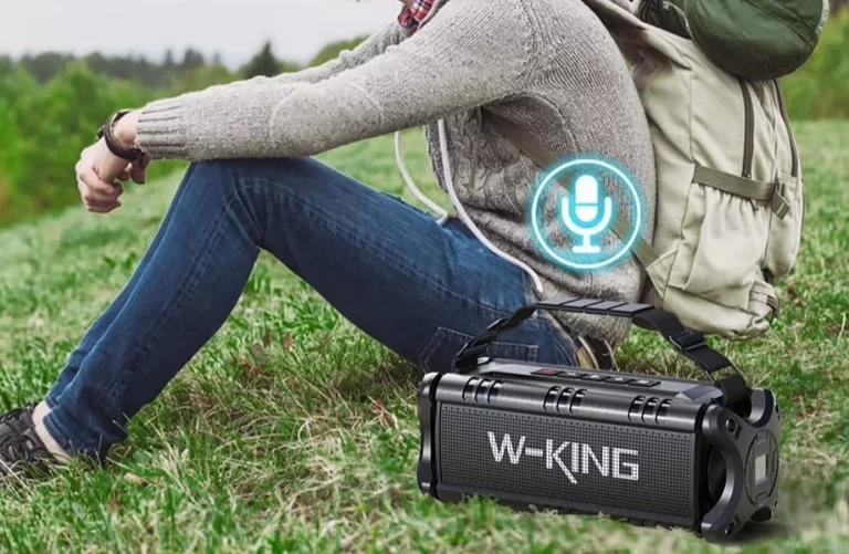 Scopri di più sull'articolo Casse Bluetooth Potenti W-KING